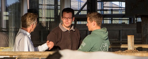 Herbert en Jos Bom