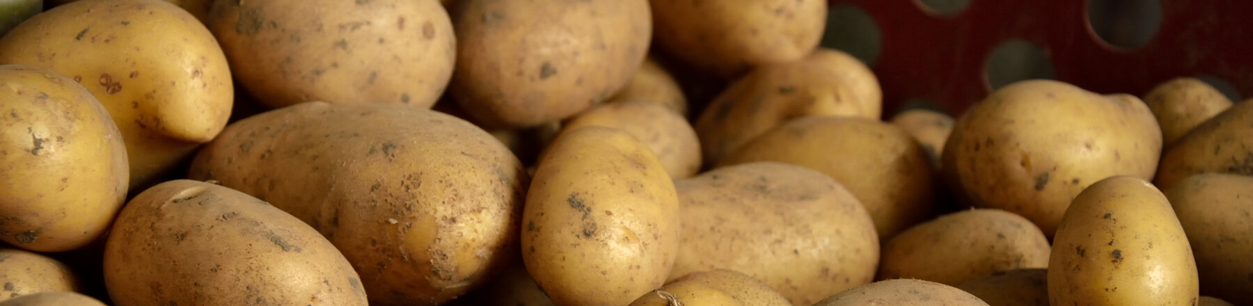 Coronamaatregelen ondersteunen liquiditeit akkerbouwer