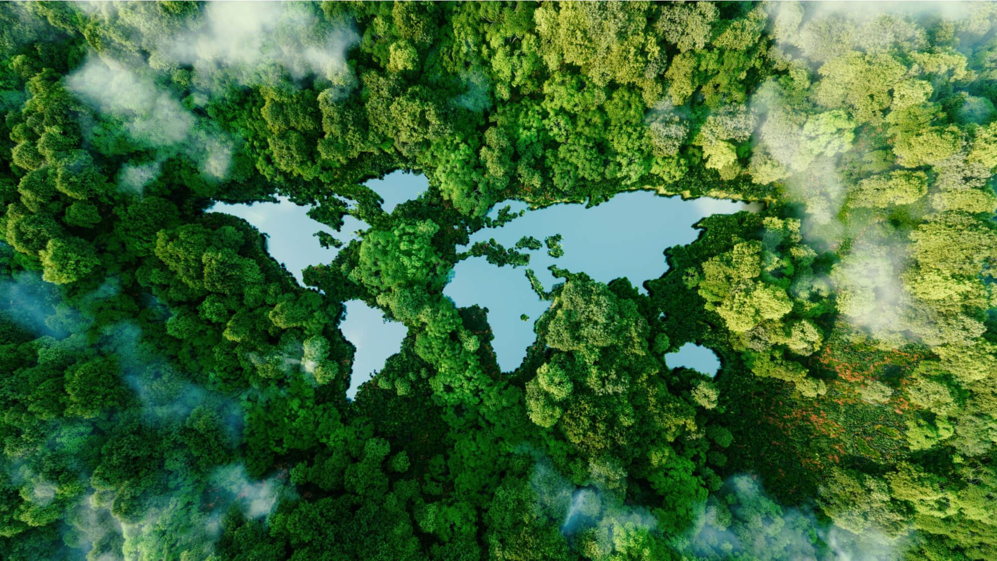 Wereldwijde acties om natuur te beschermen en herstellen