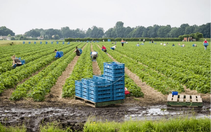 Economische groei Oost Europa heeft gevolgen voor Nederlandse arbeidsmarkt