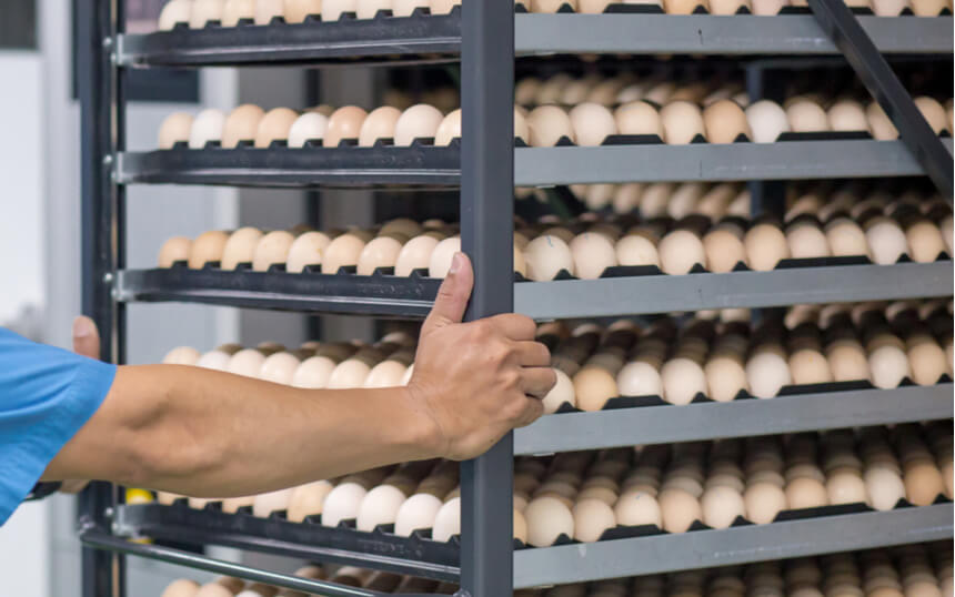 Je eigen bedrijf runnen voelt echt anders dan loondienst