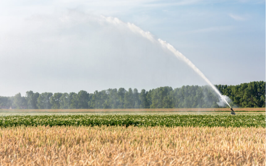 Grondwatertekorten baren waterschappen zorgen