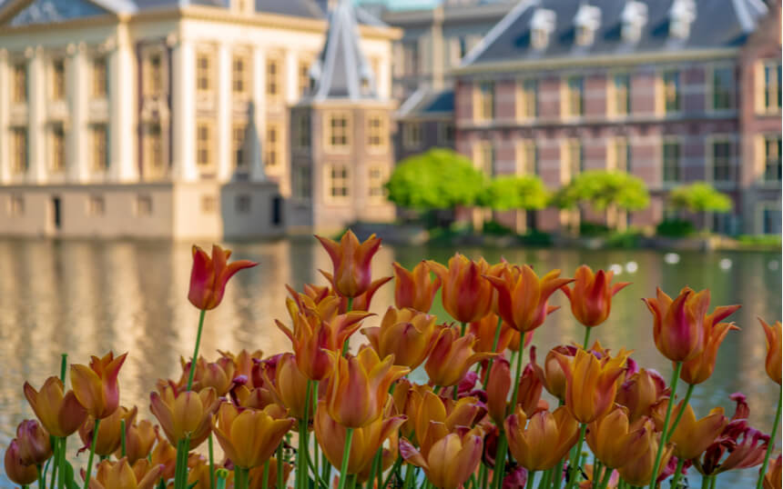 Overheid wordt groter maar koers ontbreekt