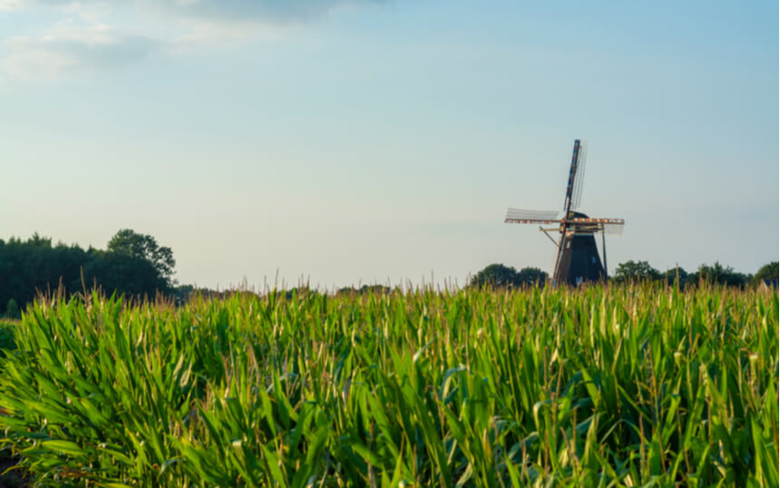 Prijsverschillen in landbouwgrond nemen toe