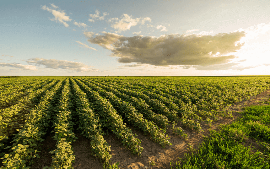 Verduurzaming landbouw in opkomst